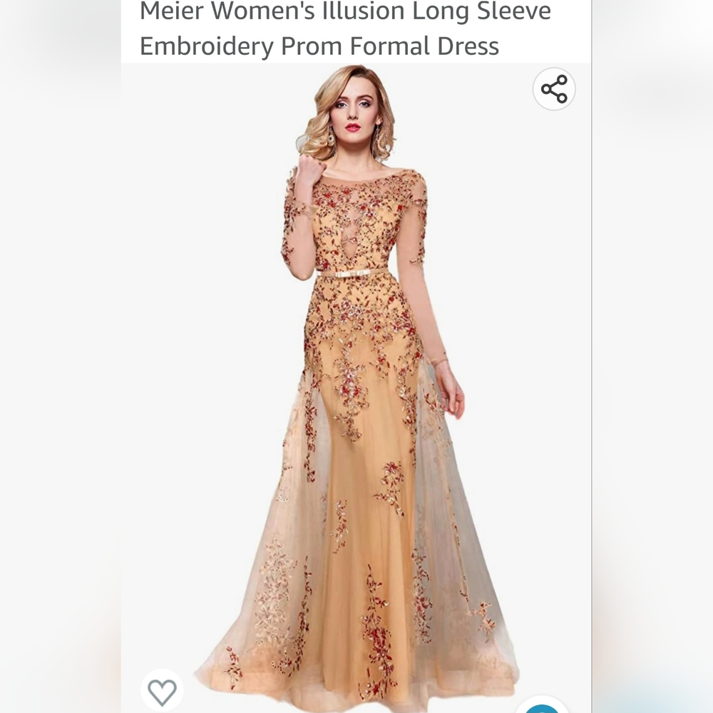 Meier's Women's Illusion long sleeve embroidery Prom Formal Dress